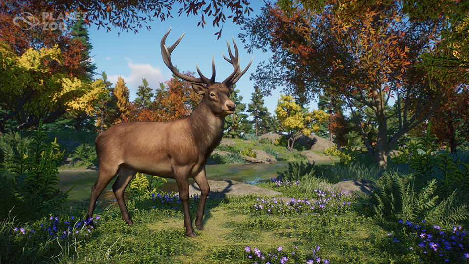 PZ_Anniversary_Red_Deer_Close_WM_960x540.jpg