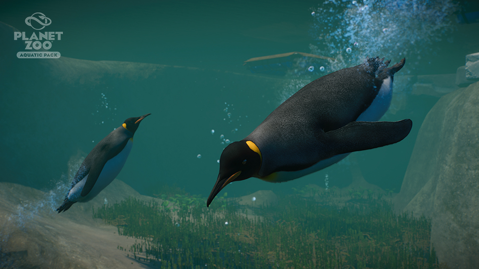 PZ_Aquatic_Paid_Screenshots_Watermarked_Penguin_01_960x540.jpg