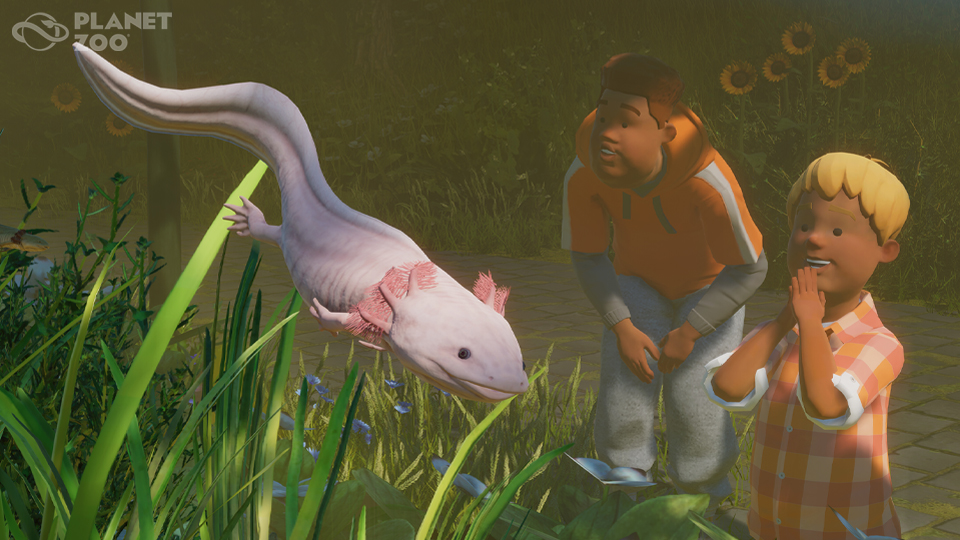 PZ_DLC10_Paid_Screenshots_Axolotle_Wide_WM_960x540.jpg