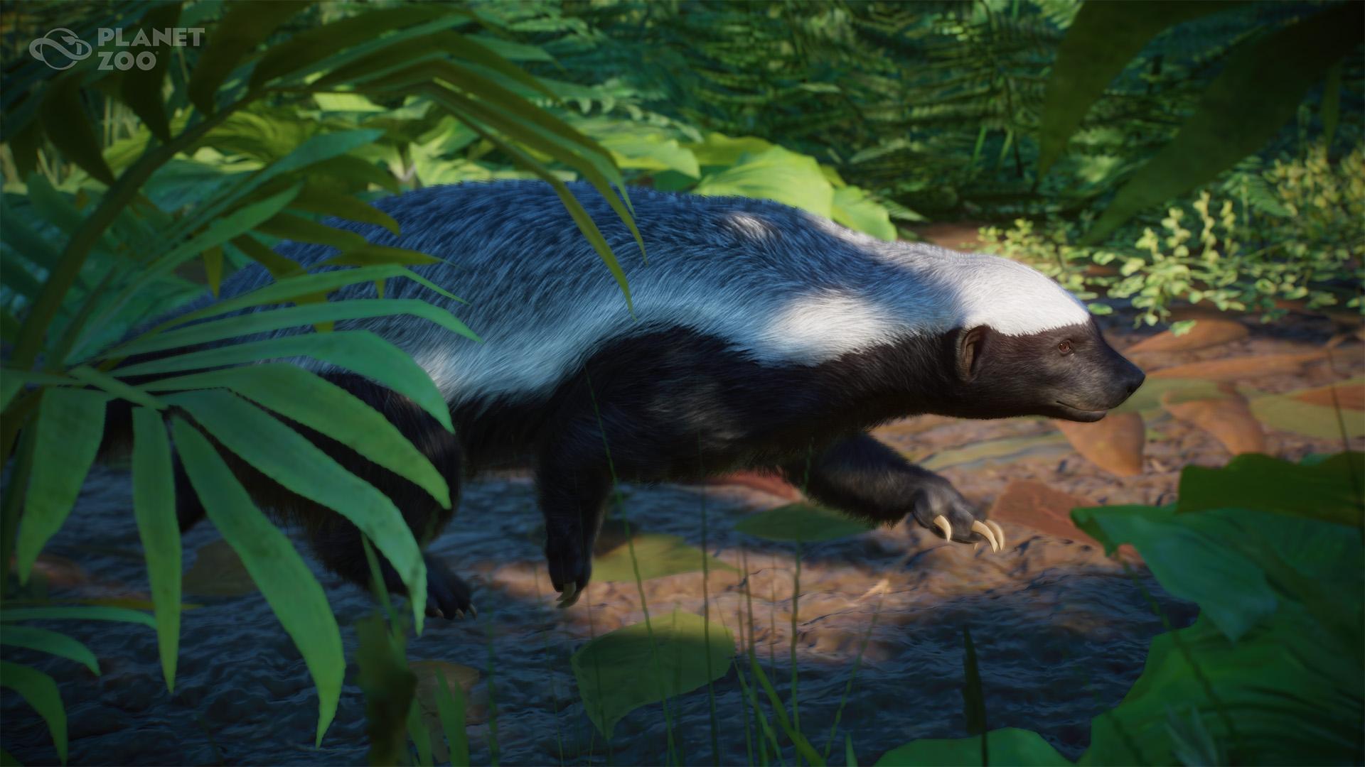 PZ_DLC20_Announce_Screenshot_Honey_Badger_1920x1080_WM.jpg