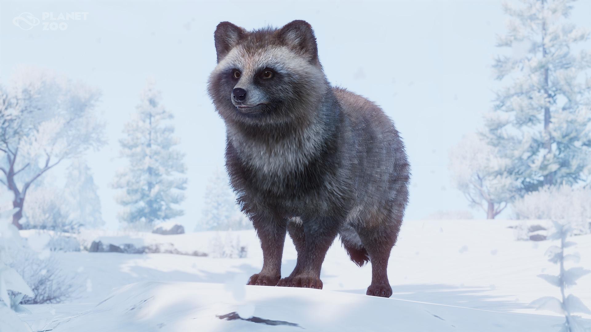 PZ_DLC20_Bespoke_Screenshot_Japanese_Racoon_Dog_1920x1080_WM.jpg