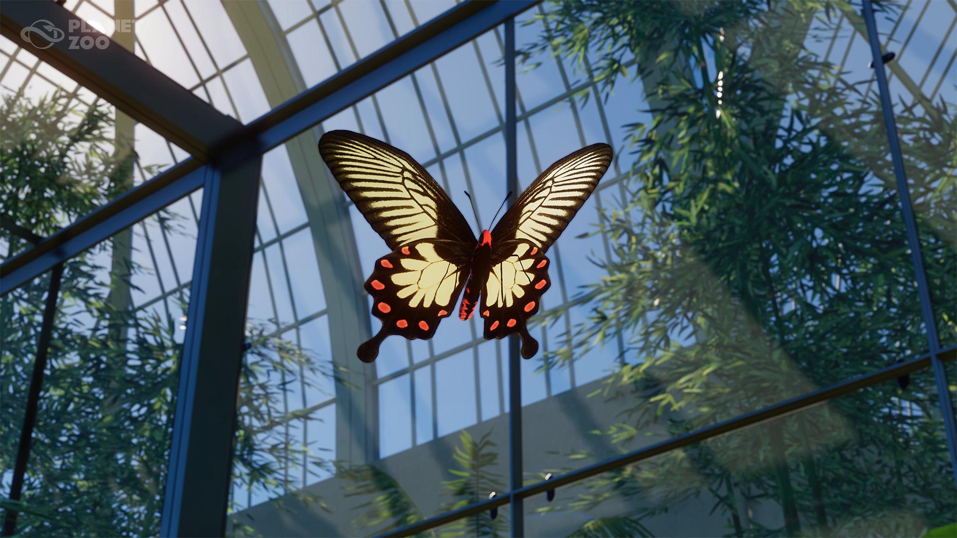 PZ_DLC20_FREE_Screenshot_Malabar_Rose_Butterfly_1920x1080_WM.jpg