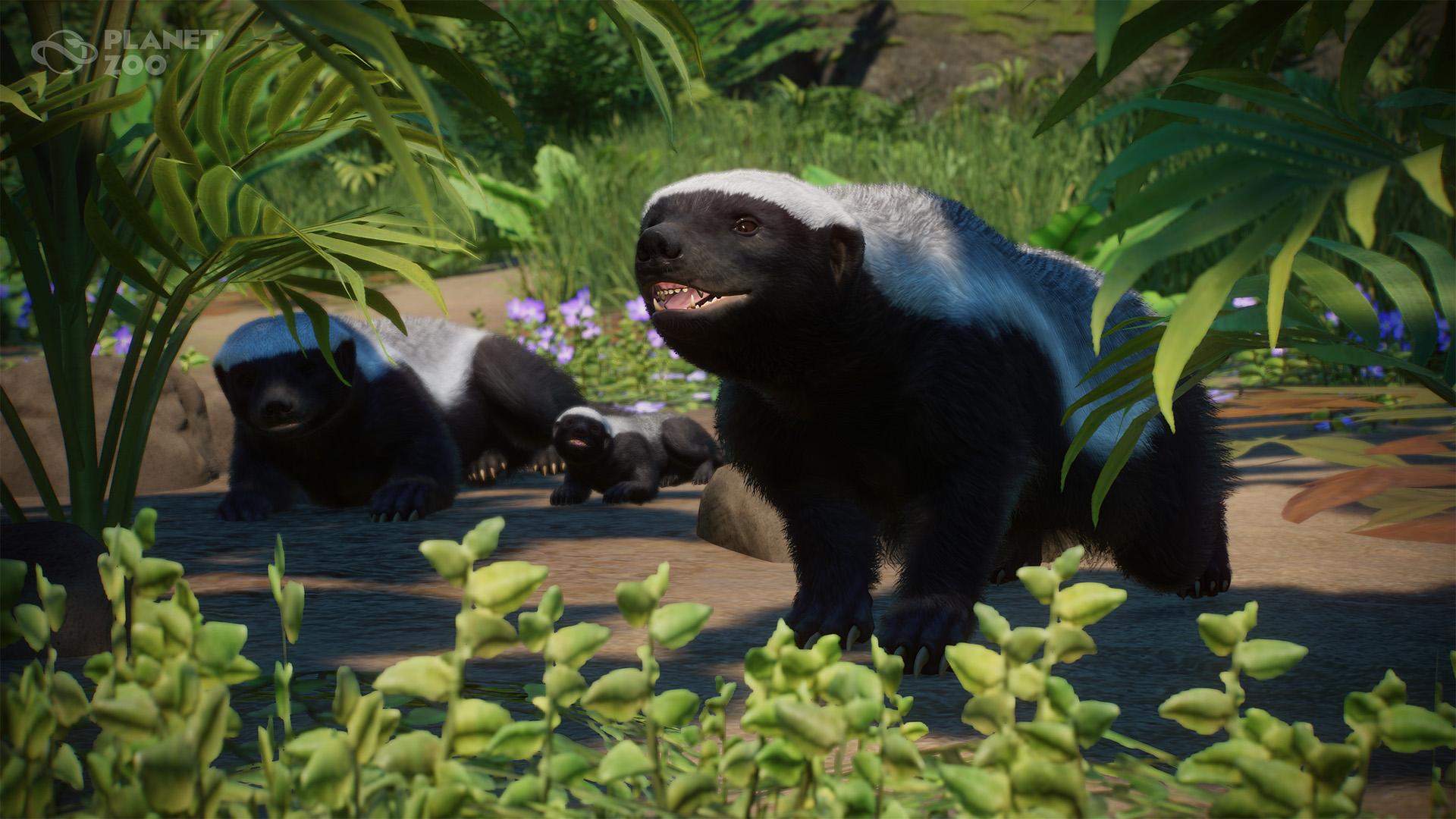 PZ_DLC20_Launch_Screenshot_Honey_Badger_1920x1080_WM.jpg