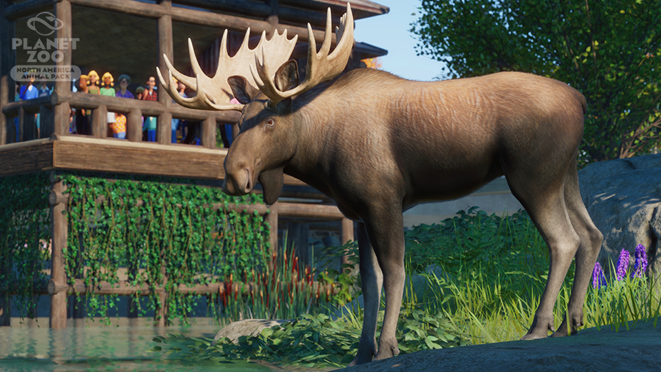 PZ_NAAP_Screenshots_Moose_Close_WM_960x540.jpg