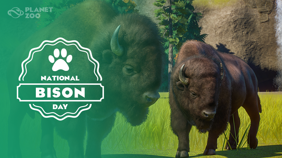 PZ_National_Bison_Day_960x540.png