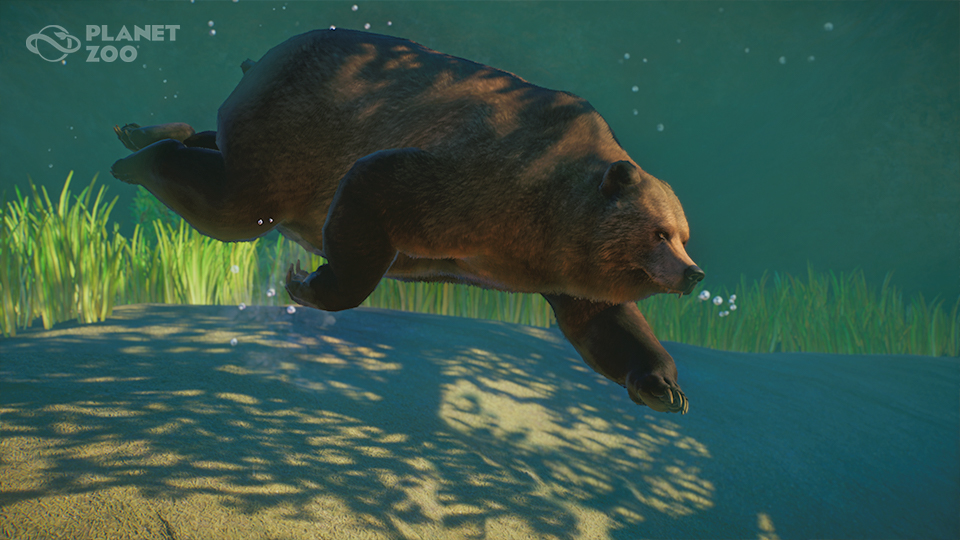 PZ_Patch1.6_Free_960x540_WM_Bear_1.jpg