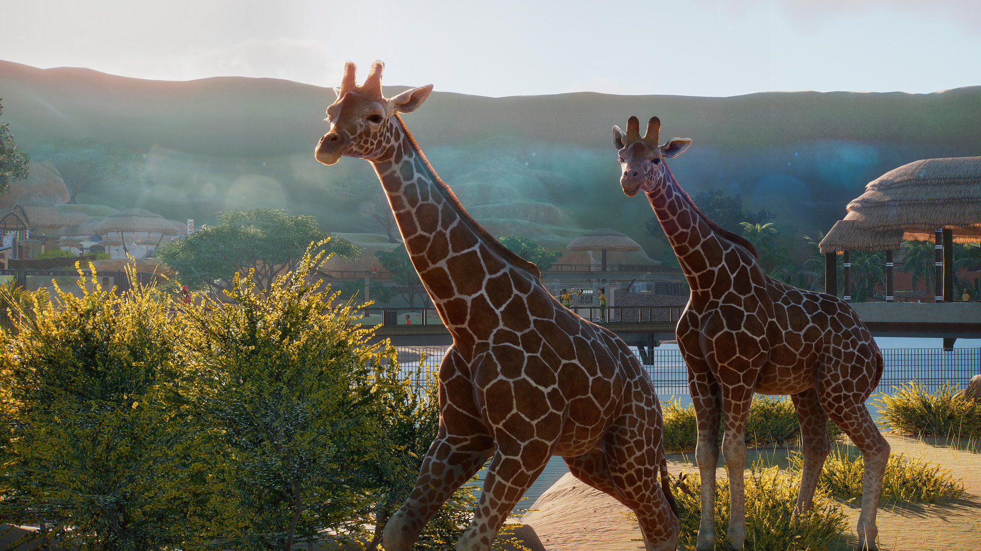 PZ_Reticulated Giraffe_1_1920x1080.jpg