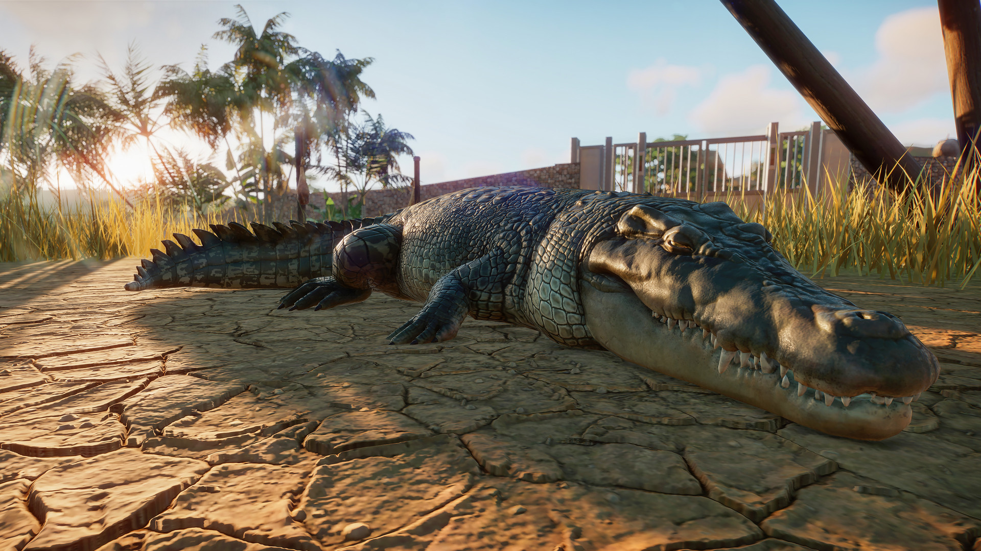 PZ_Saltwater Crocodile_1_1920x1080.jpg