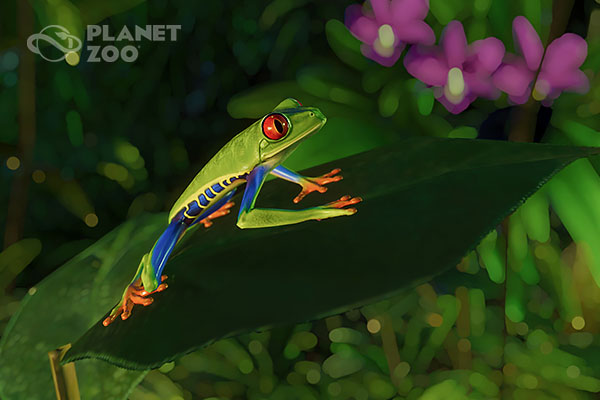 PZ_SAP_screenshots_11_600x400.jpg