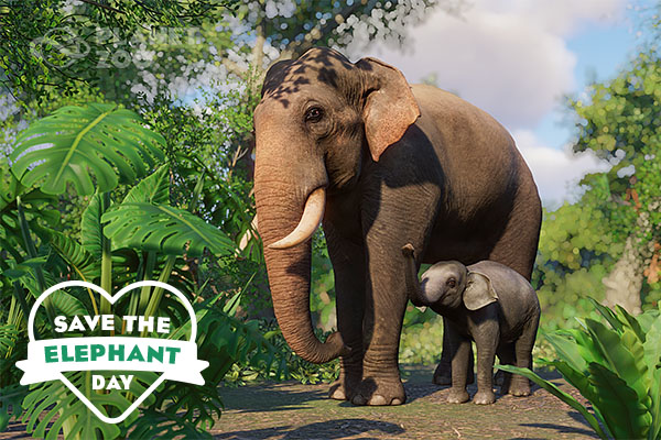 PZ_Save The_Elephant_600x400.jpg