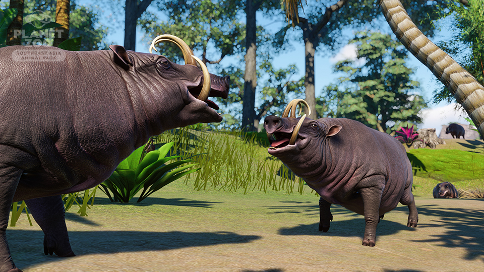 🐾 Planet Zoo: Update  and Southeast Asia Animal Pack out now! 🐾 |  Frontier Forums