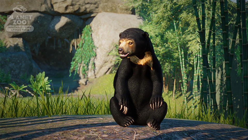 PZ_SEAAP_Screenshots_960x540_WM_Bear_3.jpg