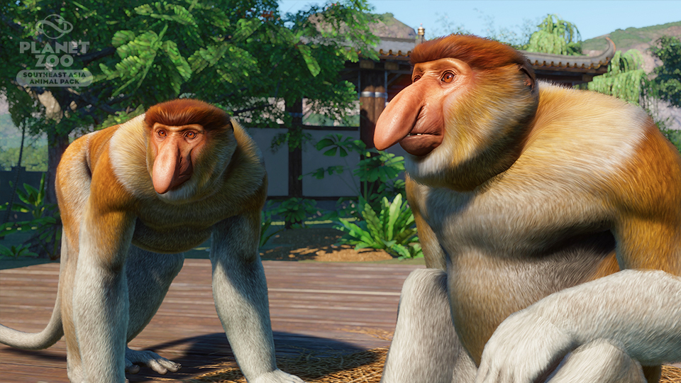 PZ_SEAAP_Screenshots_960x540_WM_Monkey_3.jpg