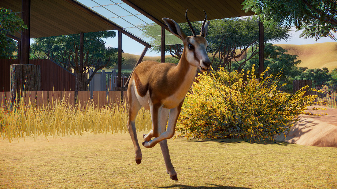 PZ_Springbok_1_1920x1080.jpg