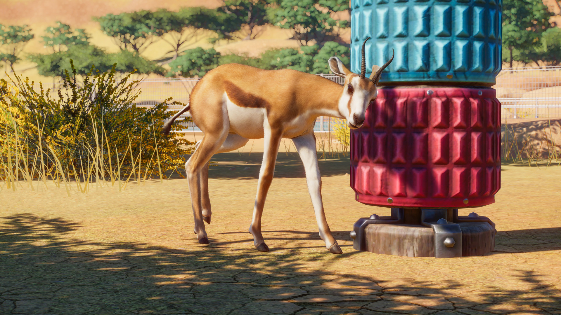 PZ_Springbok_2_1920x1080.jpg
