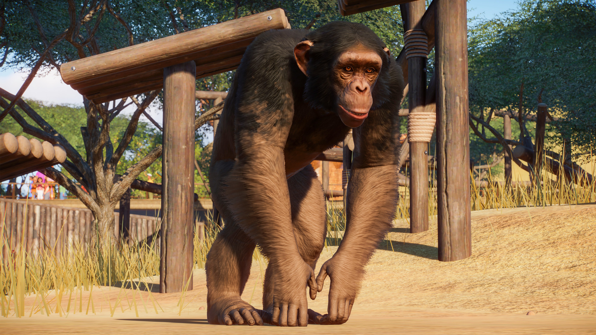 PZ_Western Chimpanzee_1_1920x1080.jpg