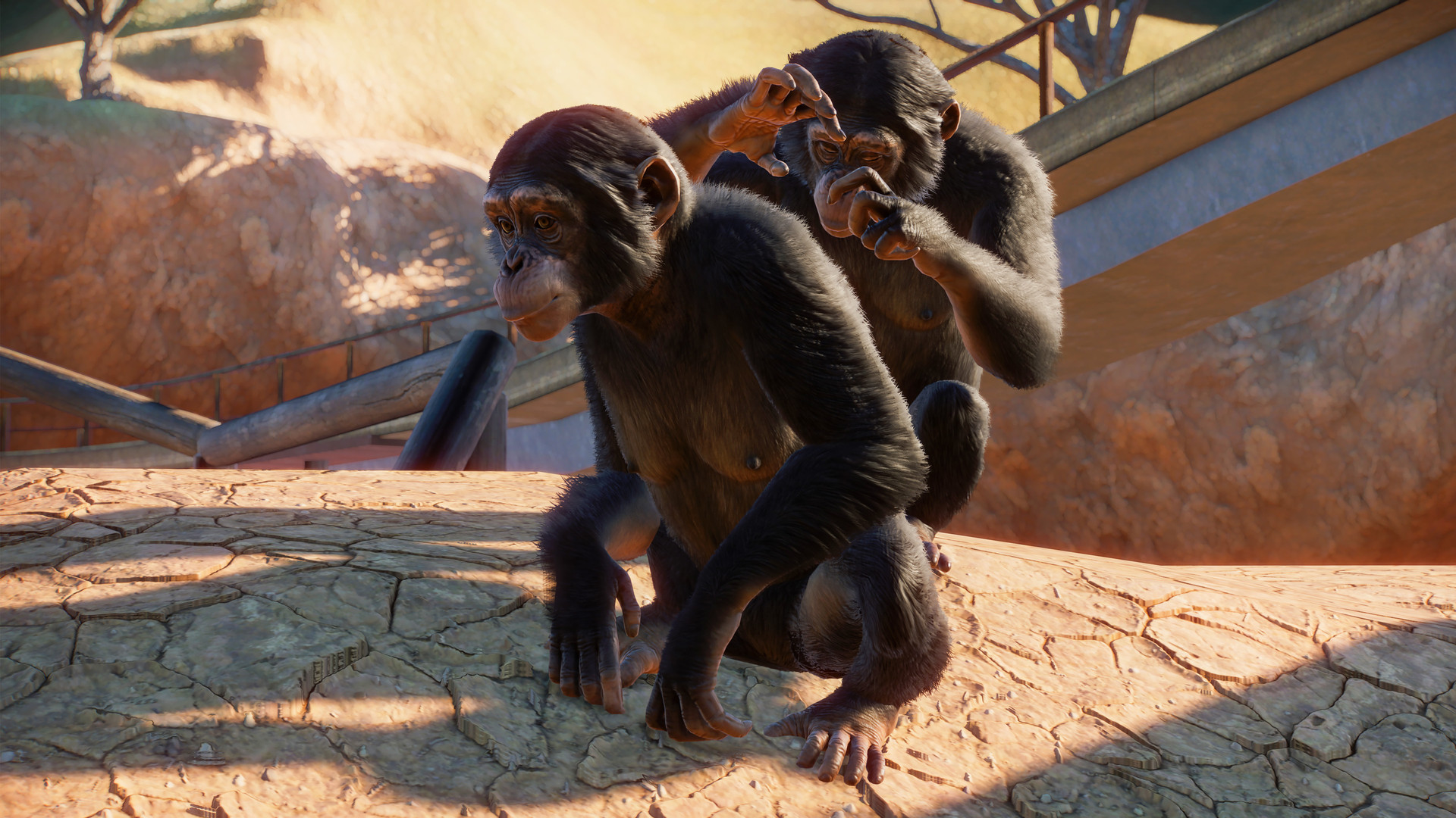 PZ_Western Chimpanzee_2_1920x1080.jpg