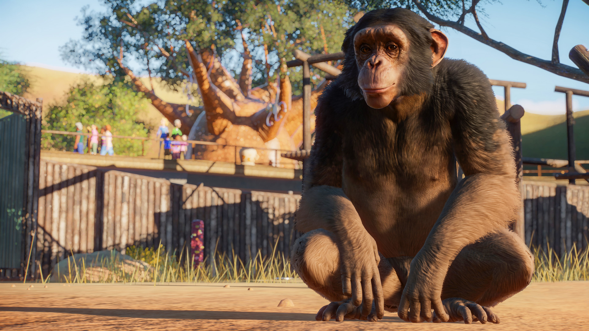PZ_Western Chimpanzee_3_1920x1080.jpg