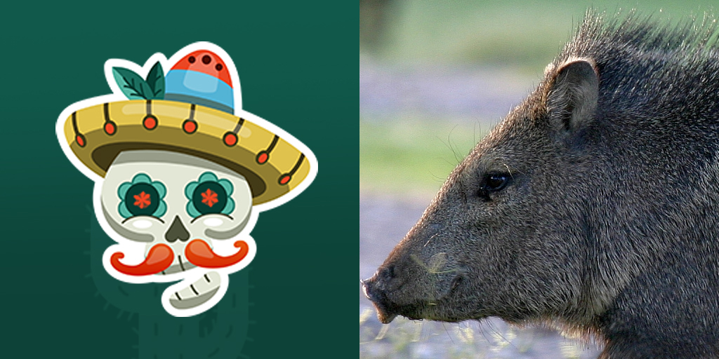 PZWEP Animal 1.jpg