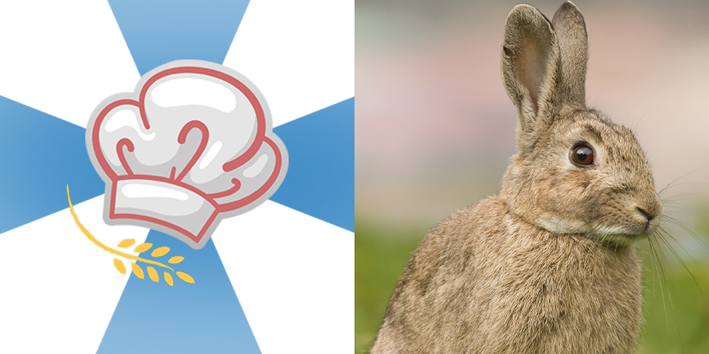 PZWEP Animal 8.jpg