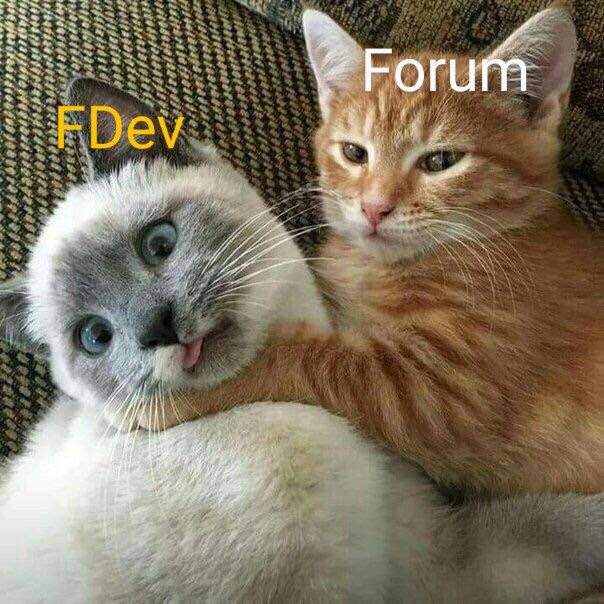 qpGLEYz~2.jpg