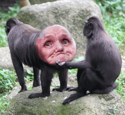 R.gif