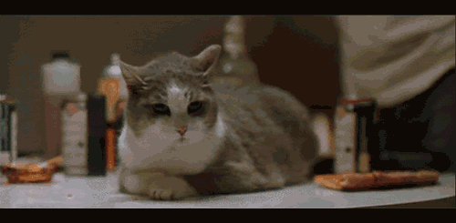 R.gif