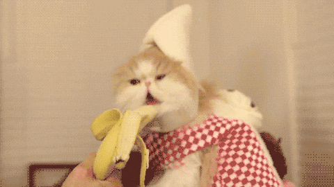 R.gif