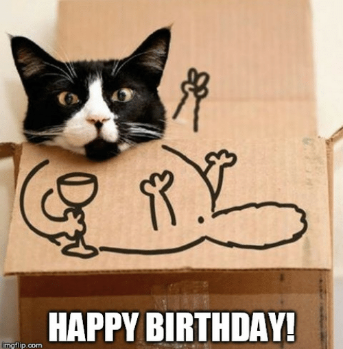 r-happy-birthday-imgflip-com-birthday-cat-in-the-box-51065679.png