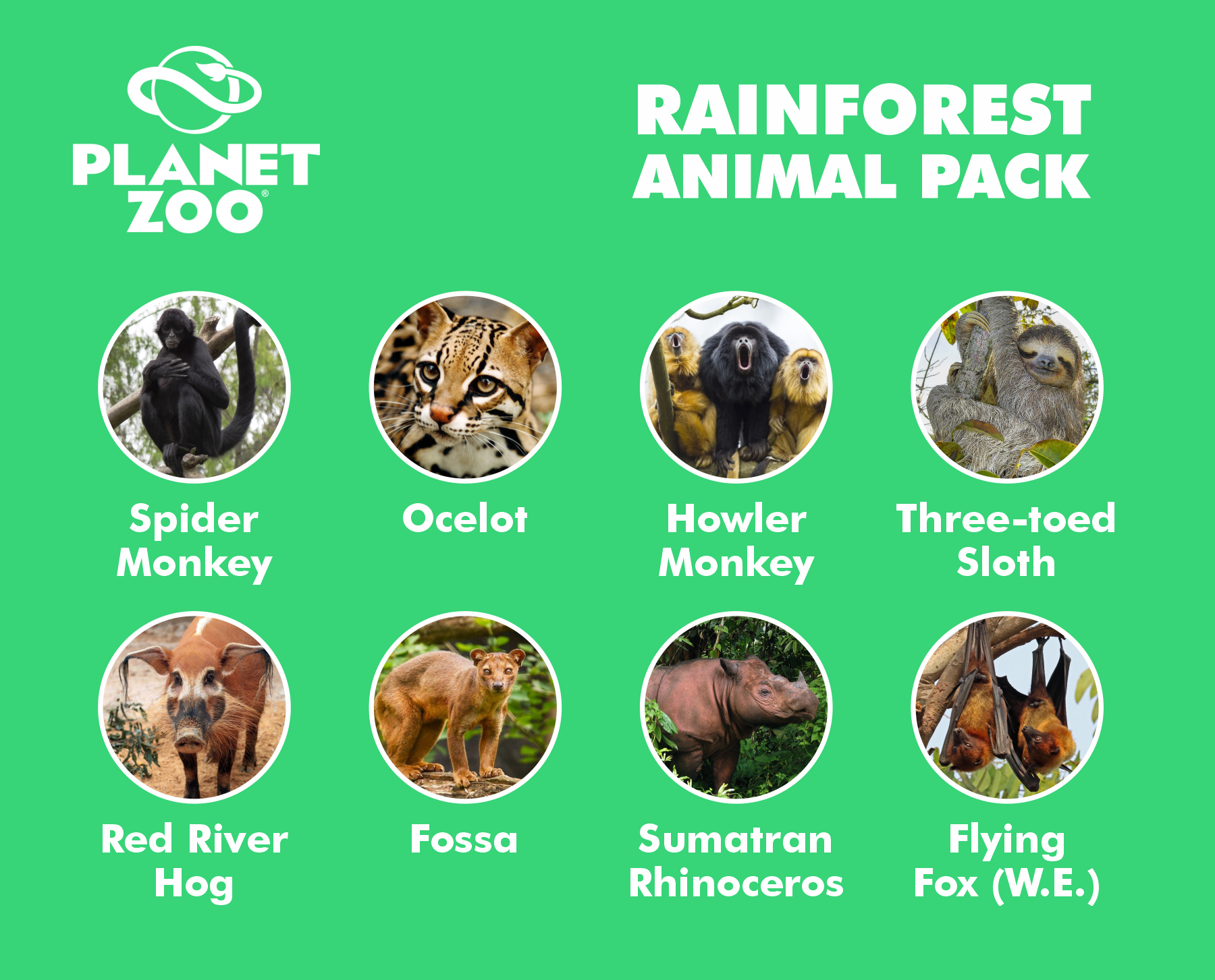 rainforest animal pack.png