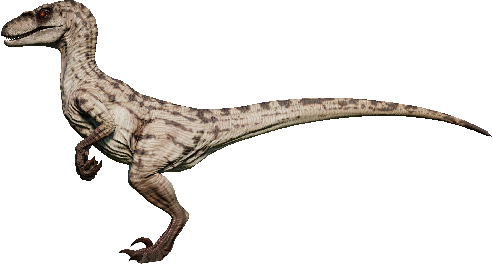 Raptor01F (1).png