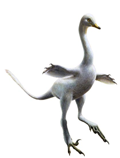raptor_duck2.jpg