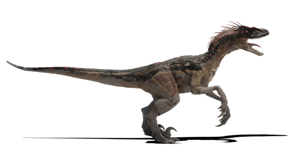 Raptor_Red_v02-1024x559.jpg
