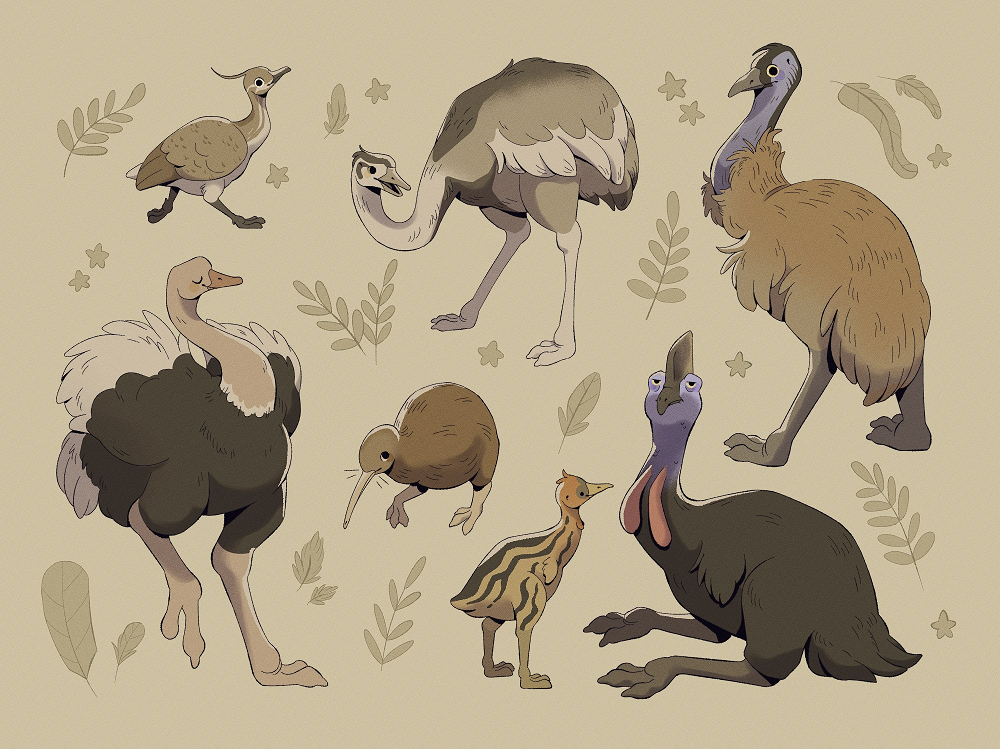 Ratites.png