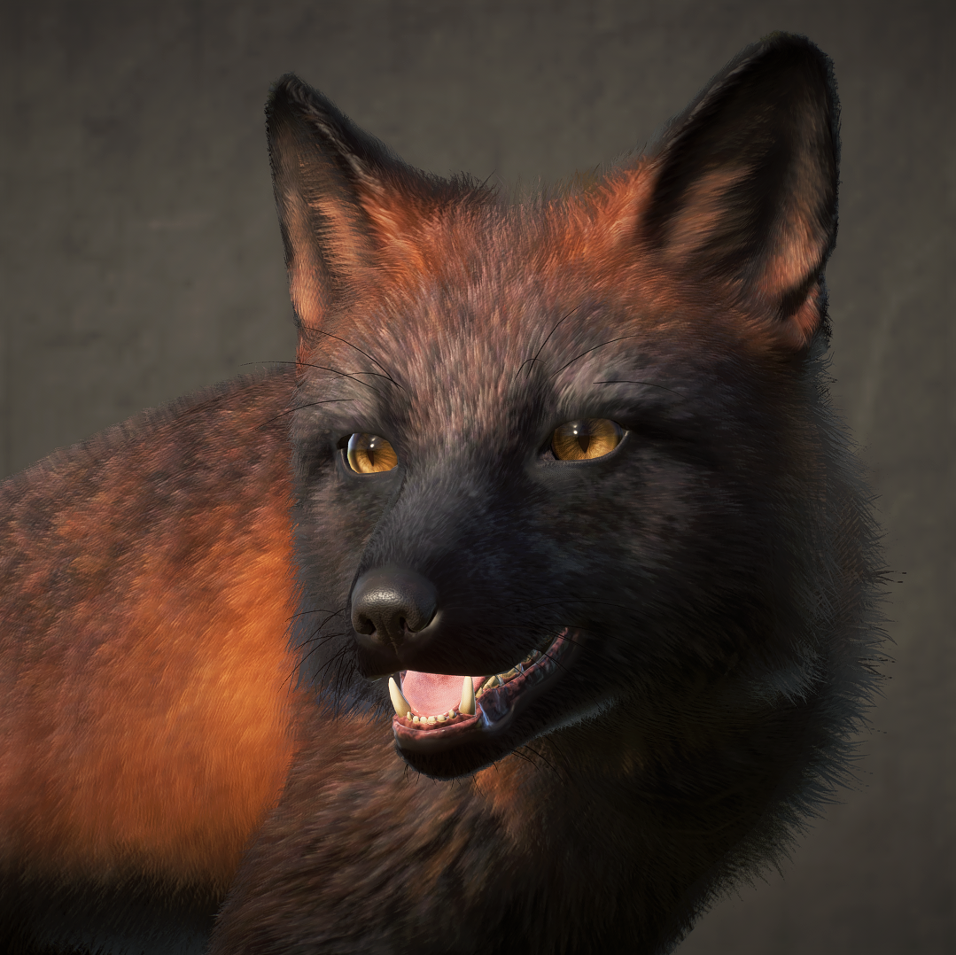 redfox-png.368349