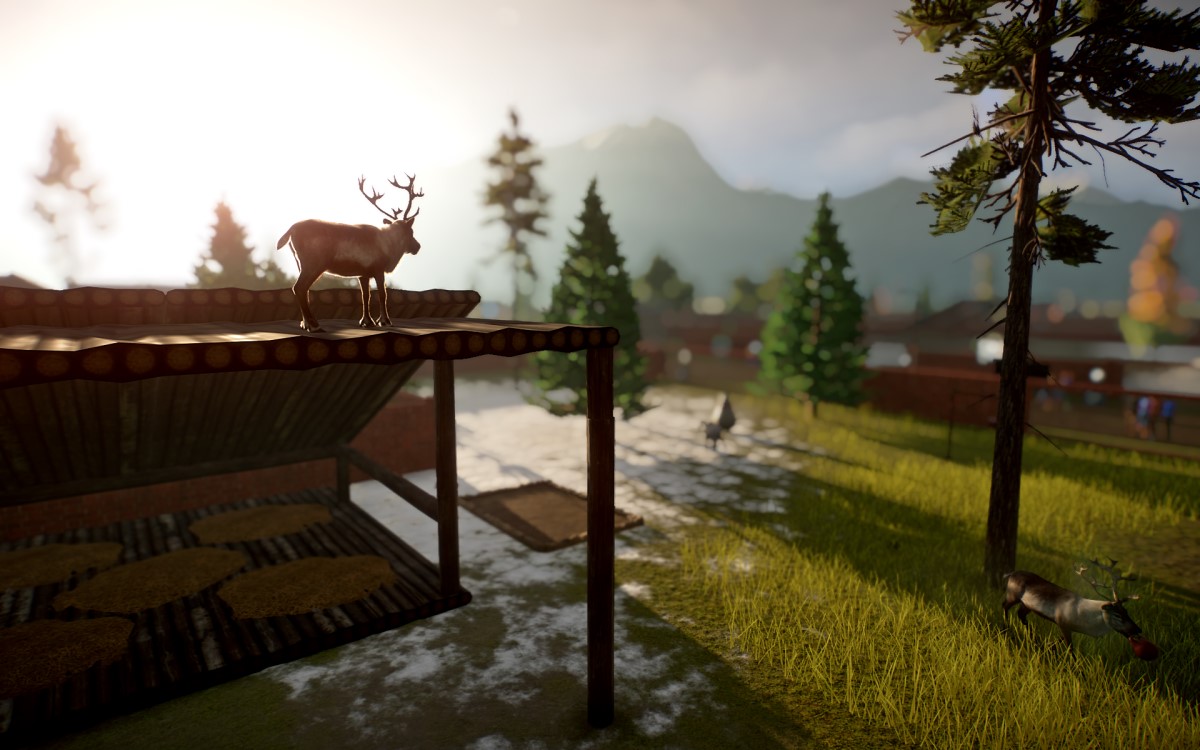 reindeer.jpg