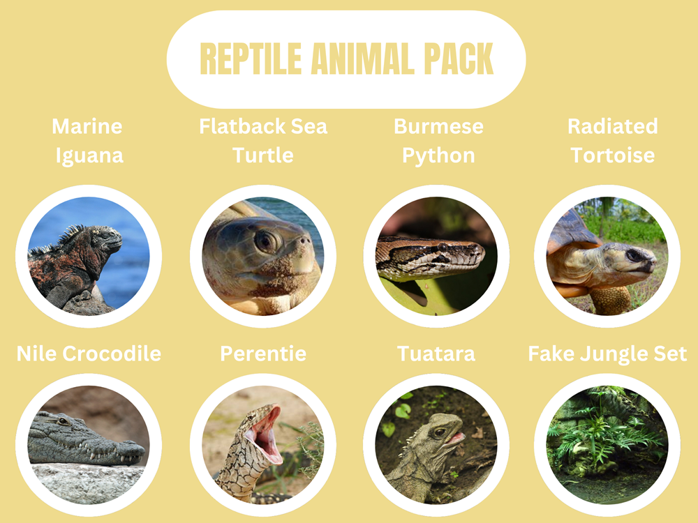 Reptile Animal Pack.png