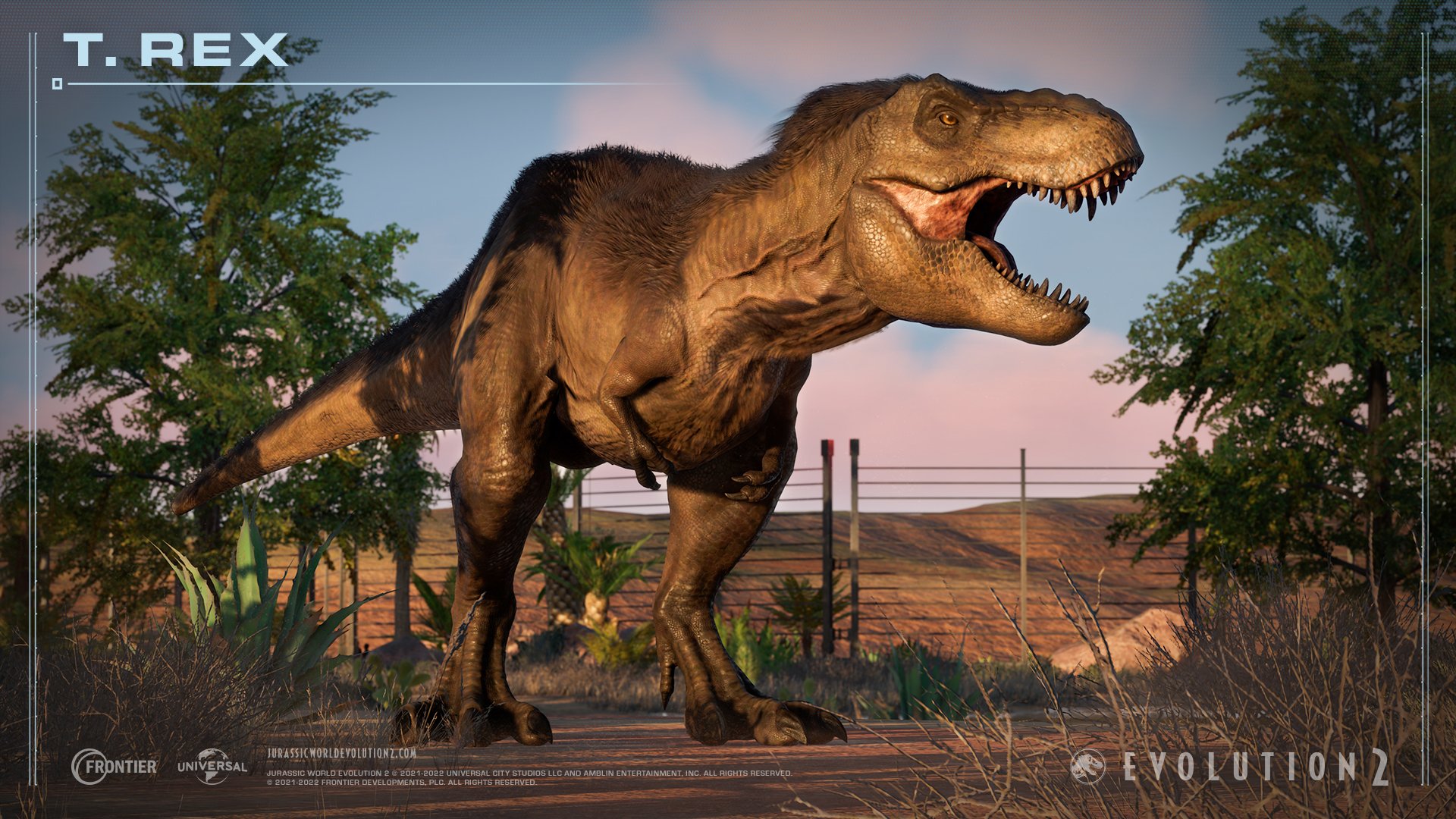 Rex.jpeg