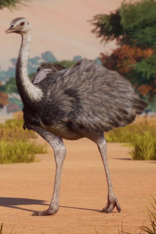 rhea.jpg