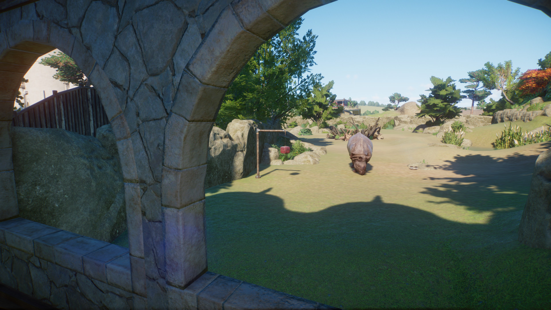 rhino 2.jpeg