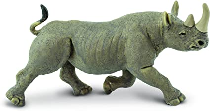 Rhino.jpg