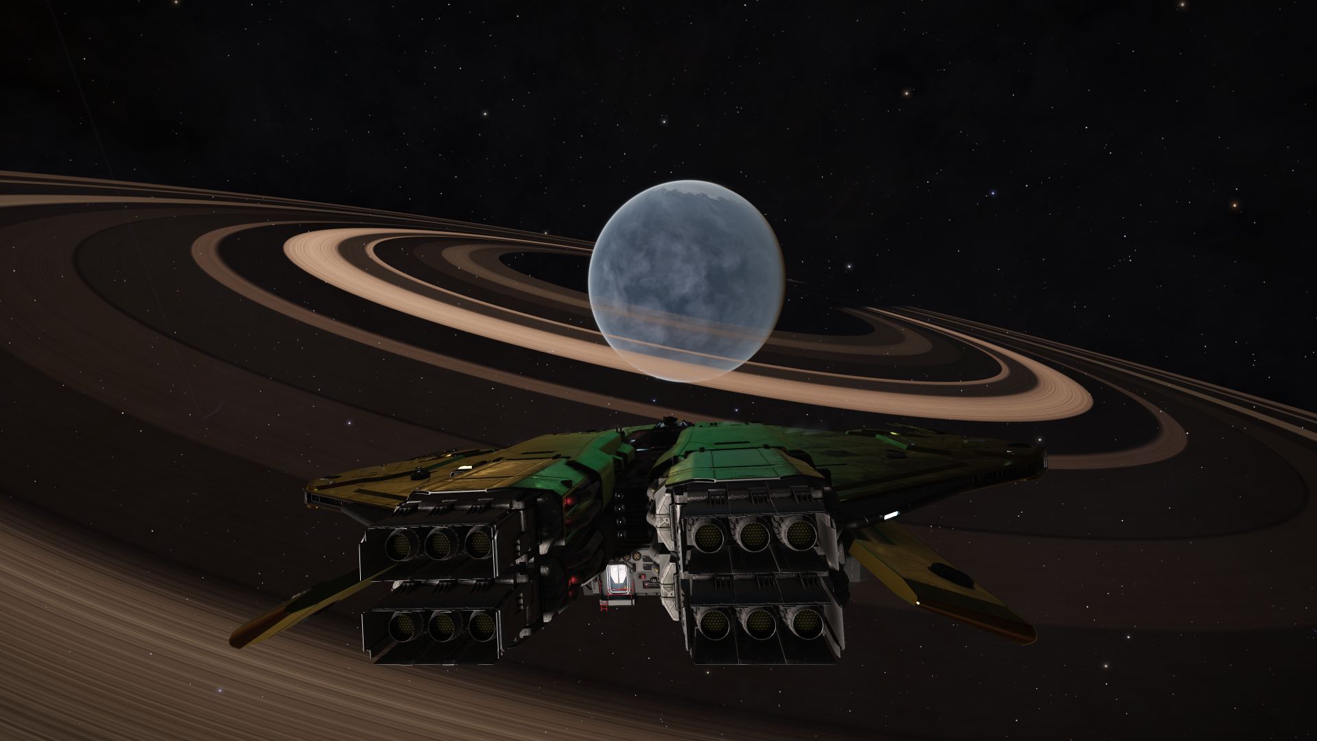 Ringed WW Krait.jpg