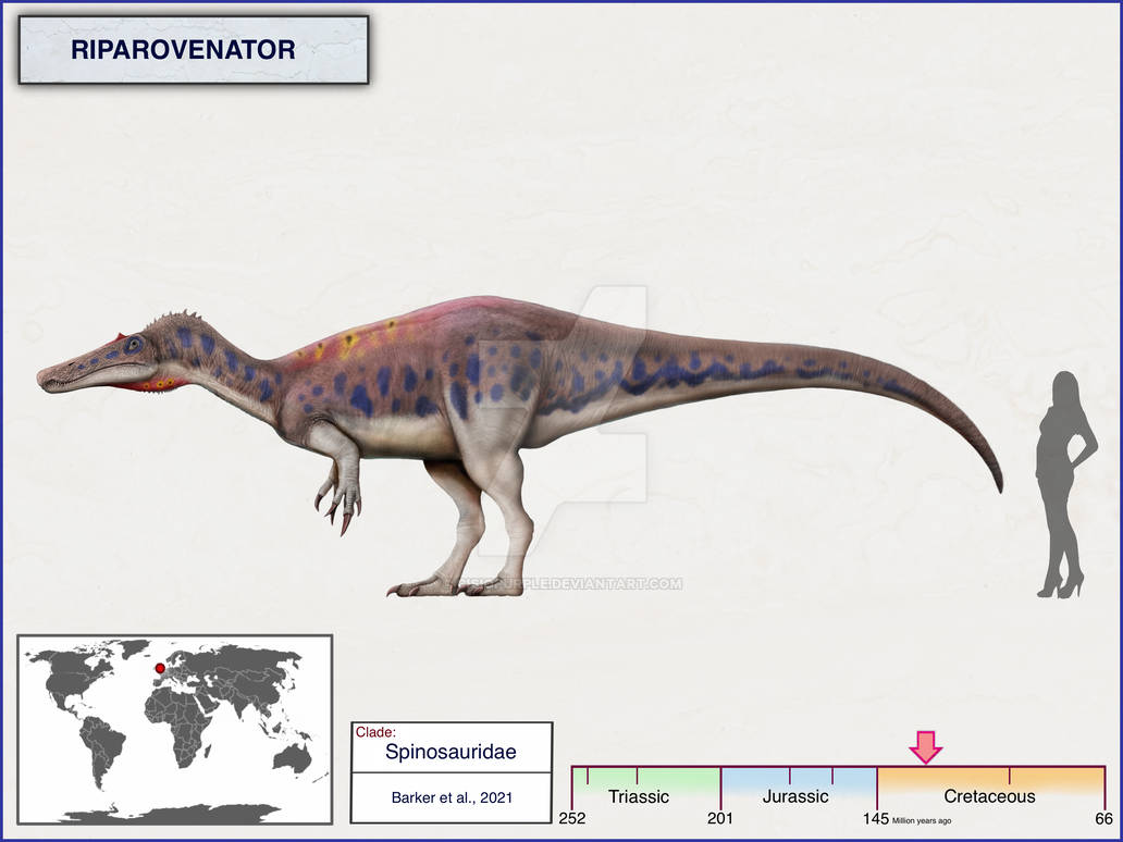 riparovenator_by_cisiopurple_des0vb4-pre.jpg