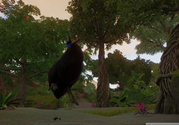 rocketcassowary.png