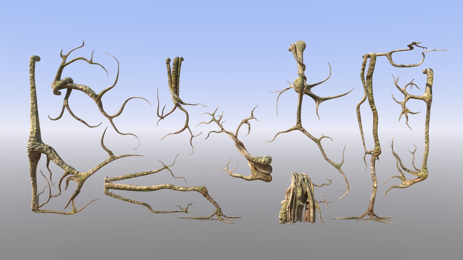 roots302.jpg