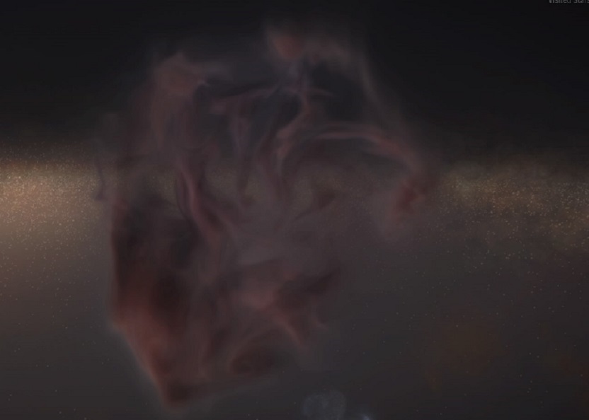 rose.jpg
