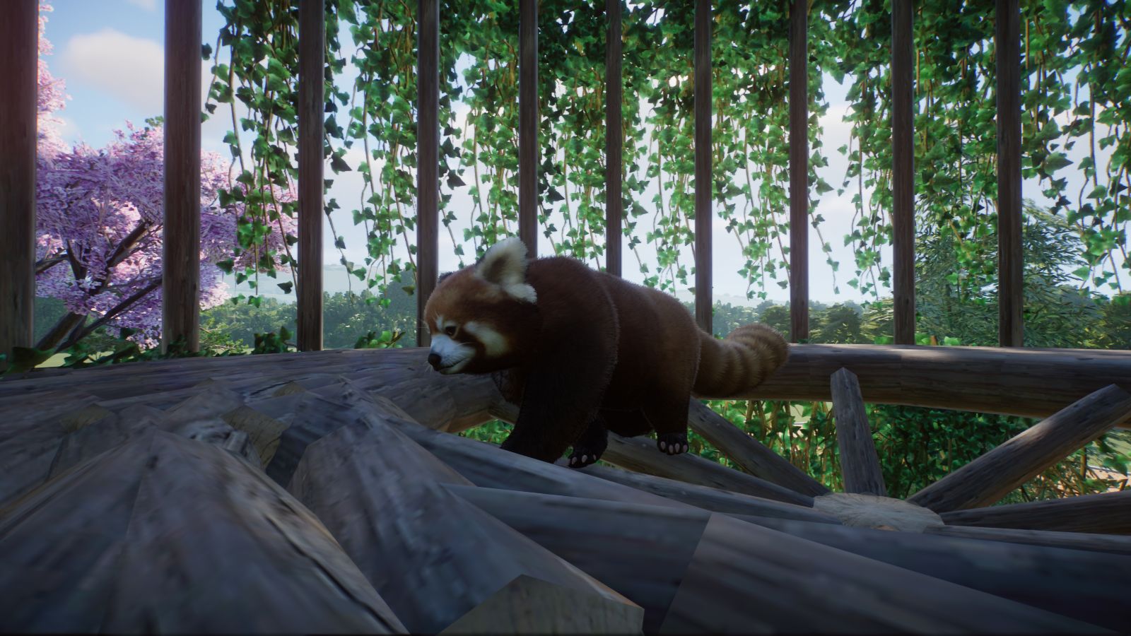 Roter Panda.jpg