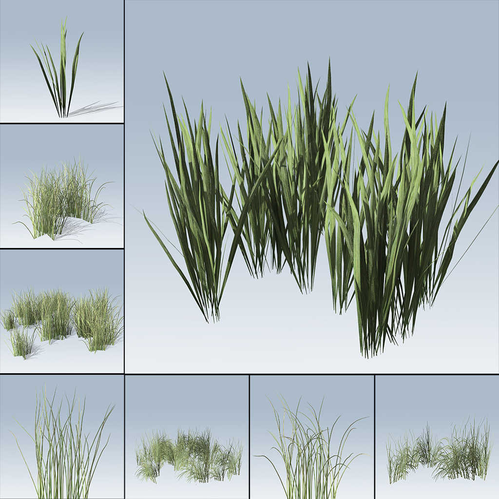 rough_grass_product_with_7_variations.jpg