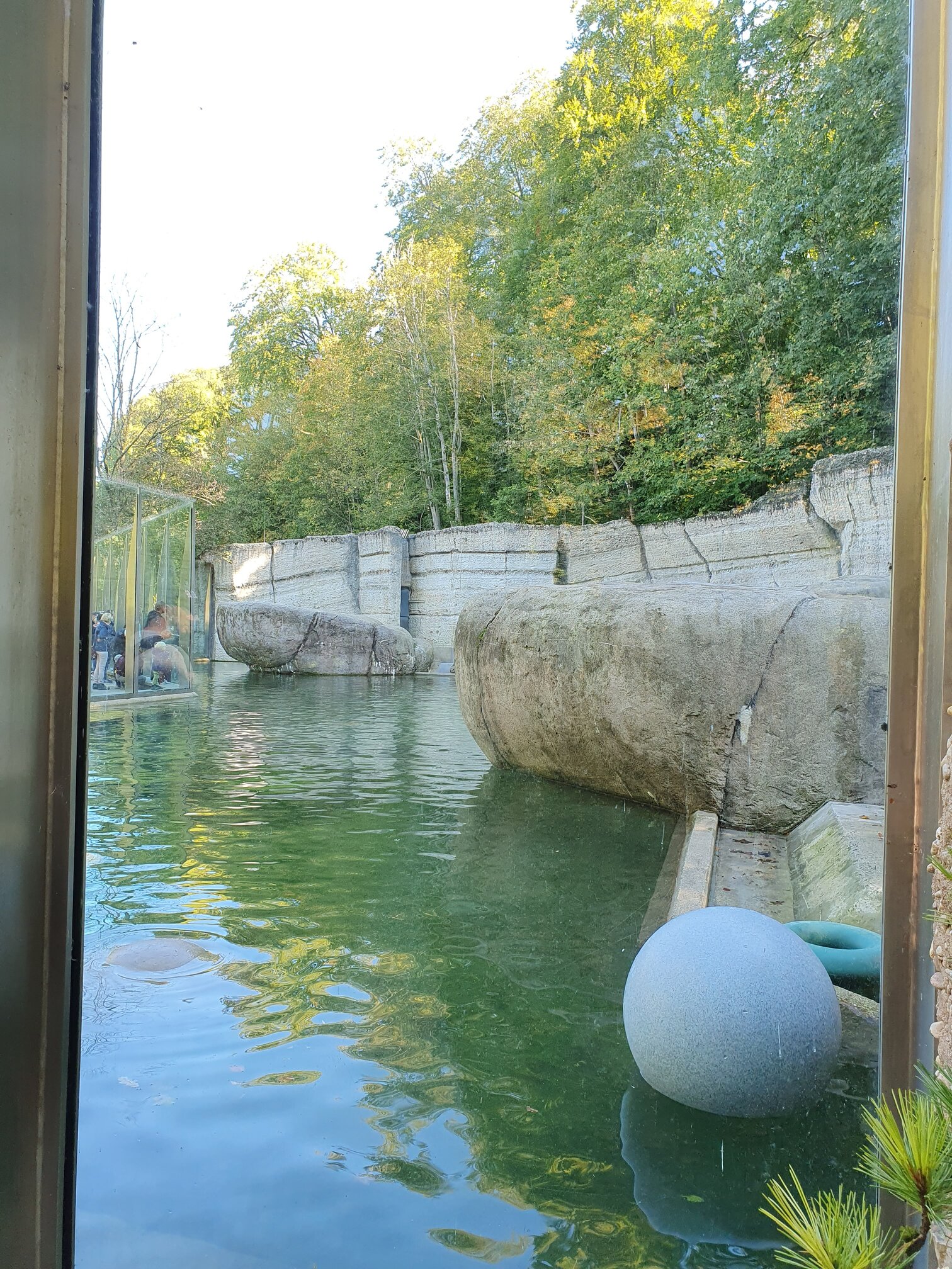 rsz_20201004_125652.jpg