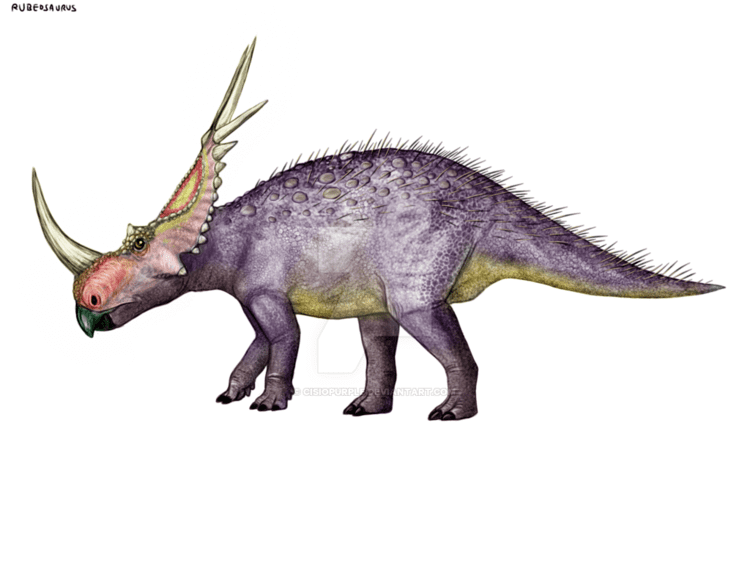 rubeosaurus-add99a39-4f6a-4a79-b0da-a927425db05-resize-750.png